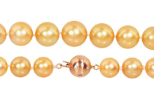 Load image into Gallery viewer, Golden South Sea Pearl Necklace
