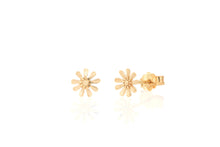 Load image into Gallery viewer, 18K Rose Gold Earring
