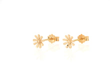Load image into Gallery viewer, 18K Rose Gold Earring

