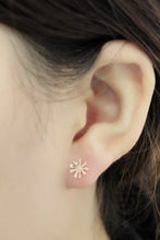Load image into Gallery viewer, 18K Rose Gold Earring
