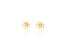 Load image into Gallery viewer, 18K Rose Gold Earring
