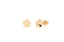 Load image into Gallery viewer, 18K  Rose Gold Earrings
