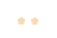 Load image into Gallery viewer, 18K  Rose Gold Earrings
